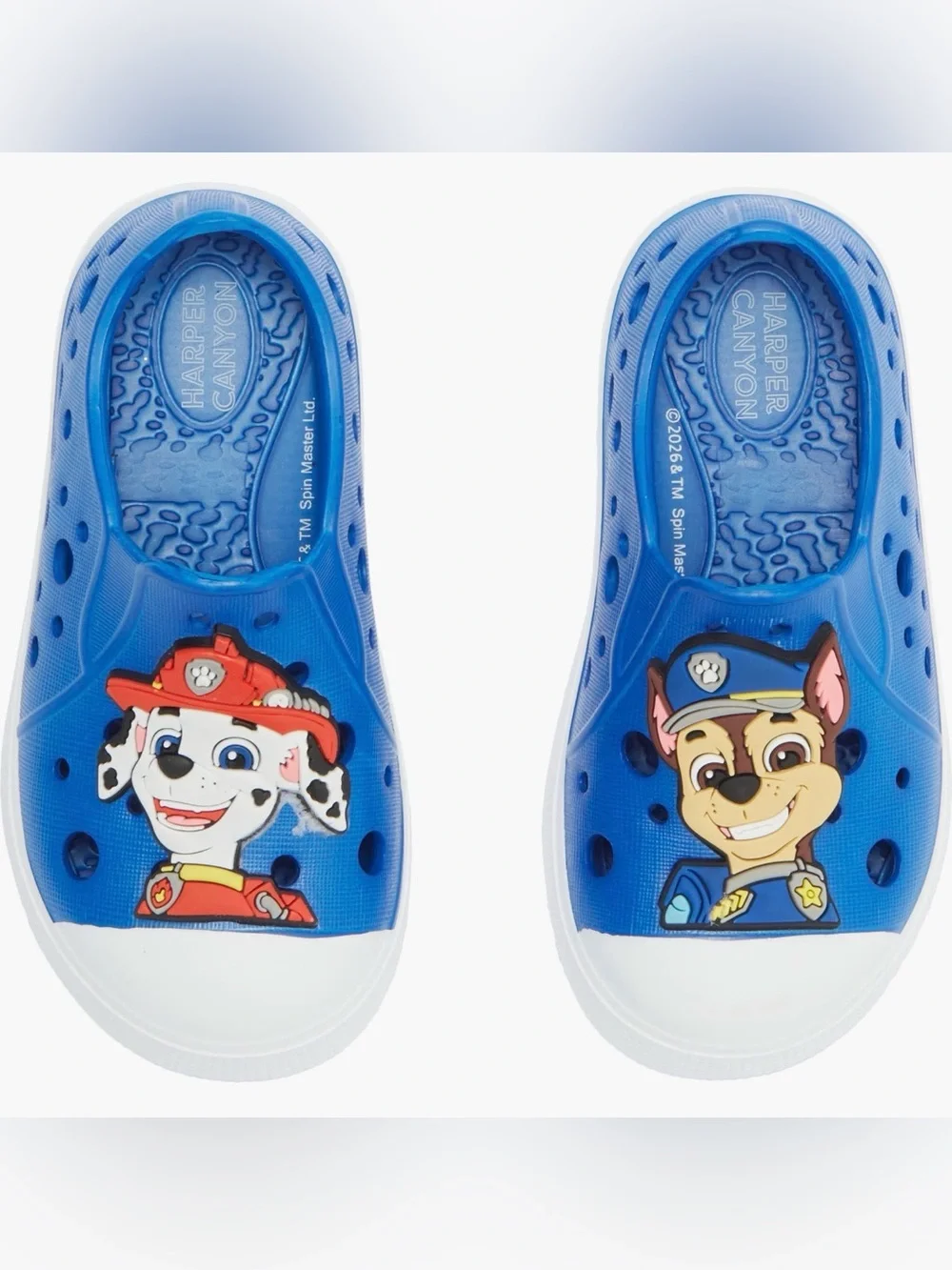 Harper Canyon Paw Patrol Mismatched Water Shoe